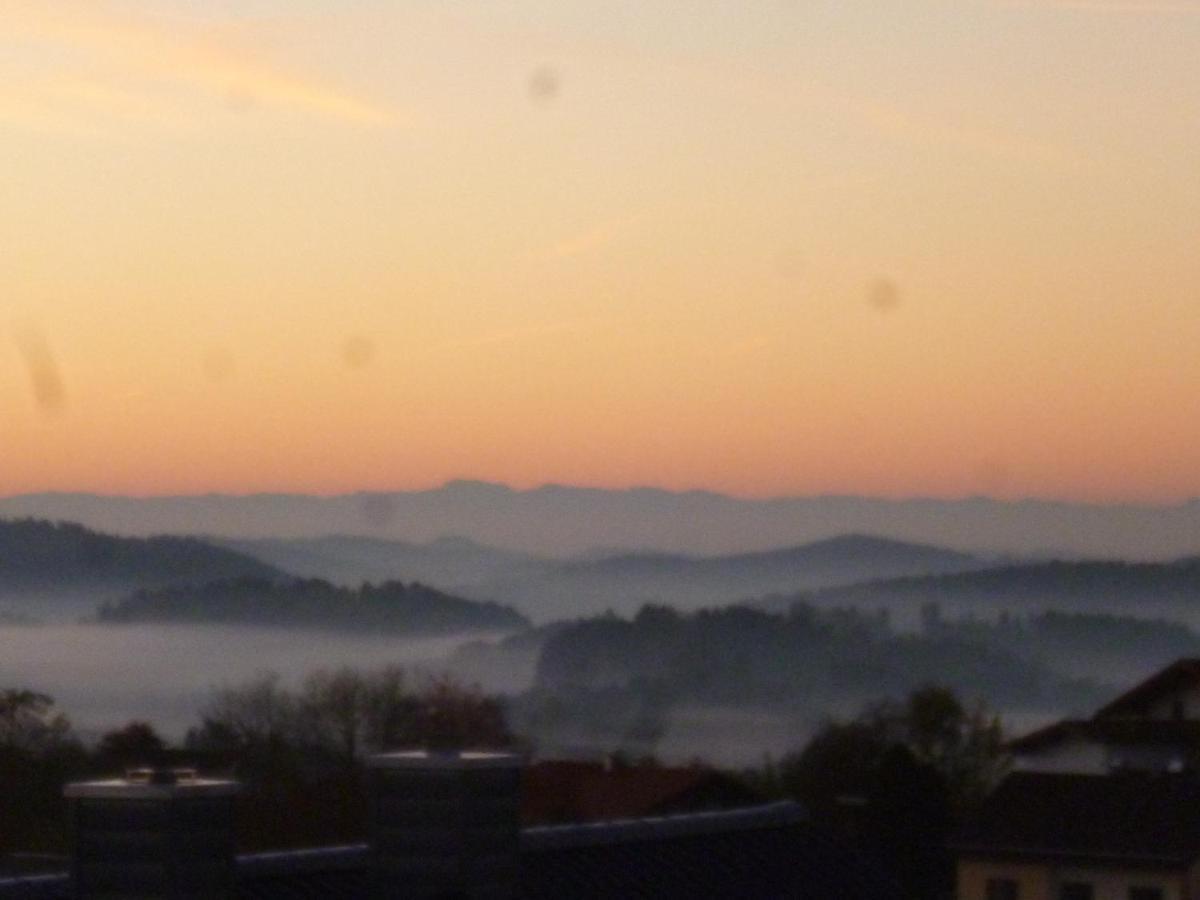 Ferienwohnungen Alpenblick Mit Garten -Panoramasauna- Kirchdorf im Wald Exteriör bild