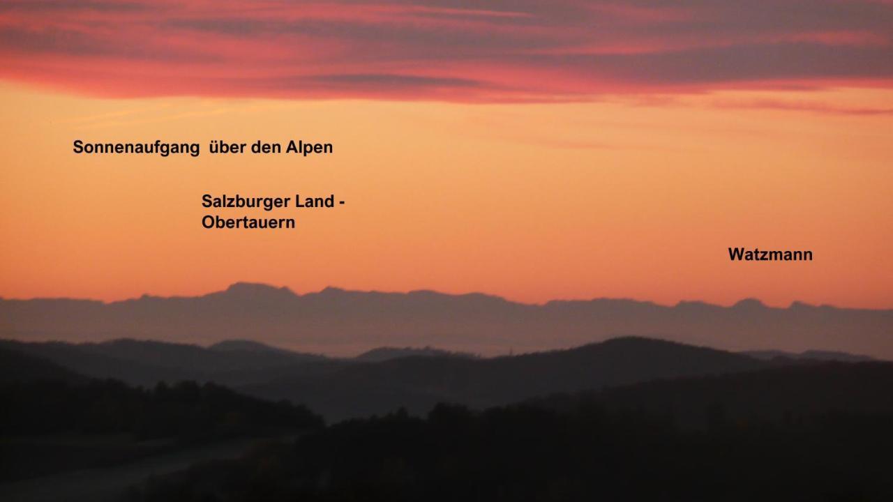 Ferienwohnungen Alpenblick Mit Garten -Panoramasauna- Kirchdorf im Wald Exteriör bild