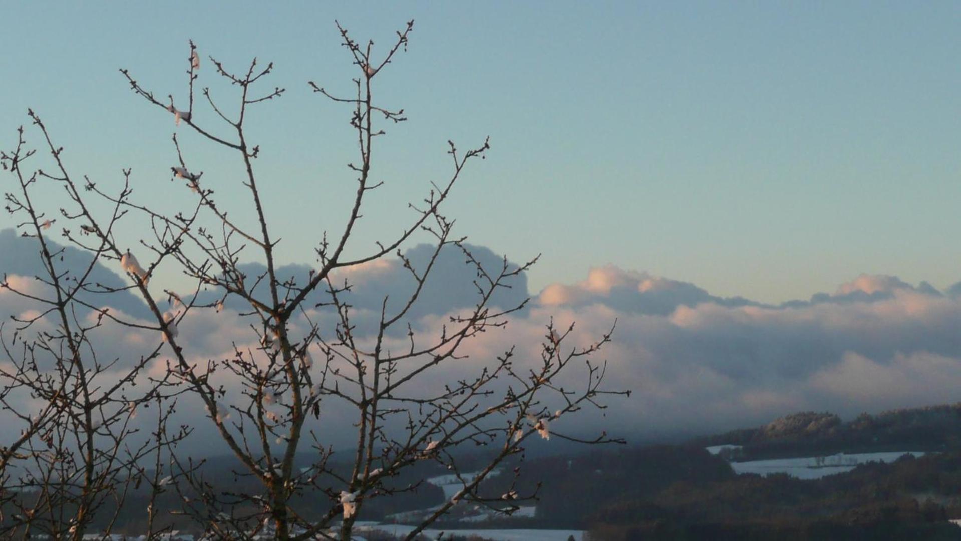 Ferienwohnungen Alpenblick Mit Garten -Panoramasauna- Kirchdorf im Wald Exteriör bild